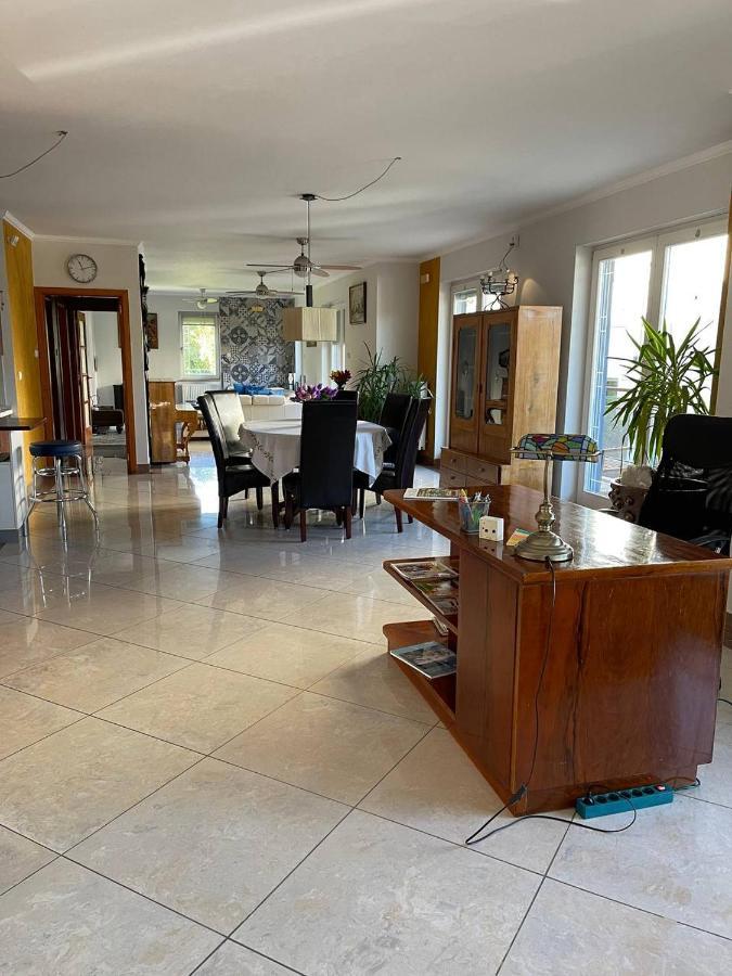 Rosehill Garden Family Villa With A Great Budapest View מראה חיצוני תמונה