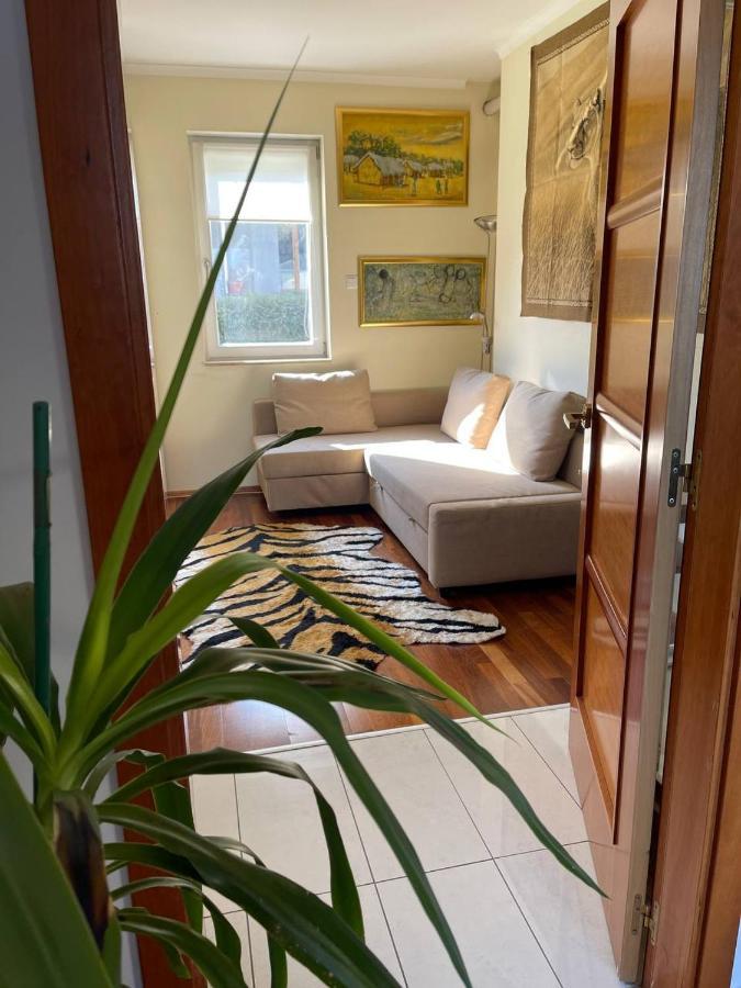 Rosehill Garden Family Villa With A Great Budapest View מראה חיצוני תמונה