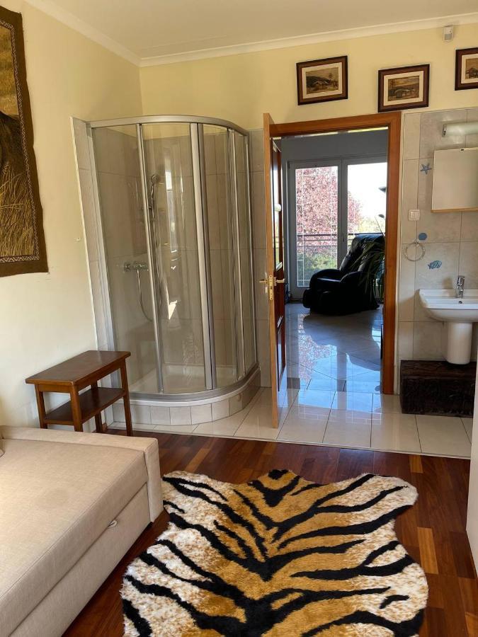 Rosehill Garden Family Villa With A Great Budapest View מראה חיצוני תמונה