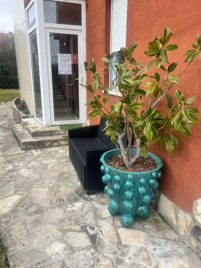 Rosehill Garden Family Villa With A Great Budapest View מראה חיצוני תמונה